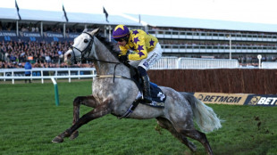 All-conquering Mullins lands Champion Chase with Il Etait Temps