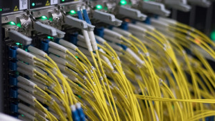Ermittler: Dutzende Gesch&auml;digte durch internationales Hackernetz in Deutschland