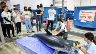 A Ta&iuml;wan, des b&eacute;n&eacute;voles en lutte contre les &eacute;chouages massifs de c&eacute;tac&eacute;s