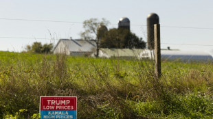 La inflaci&oacute;n a 12 meses vuelve a repuntar en EEUU en noviembre a 2,7%