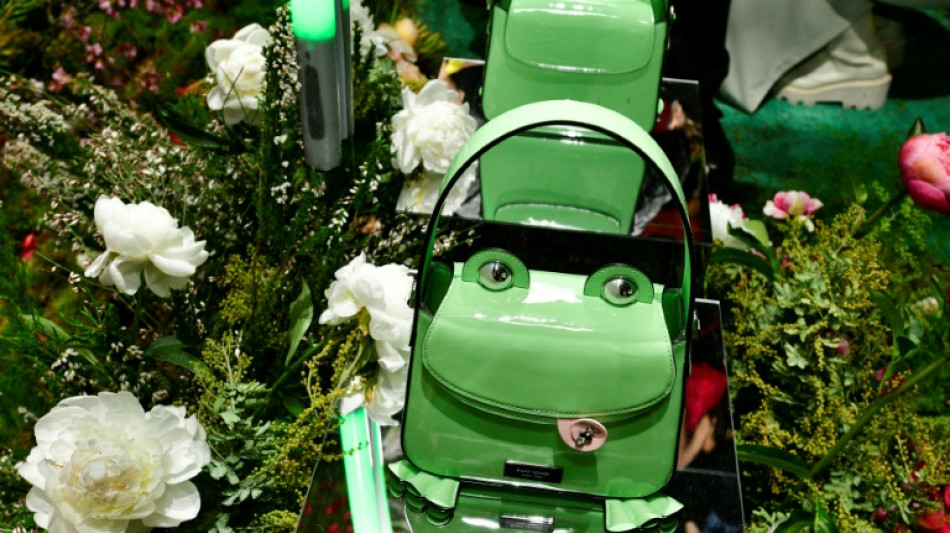 Las autoridades de EEUU se oponen a una fusi&oacute;n de 8.500 millones de d&oacute;lares en la industria de la moda