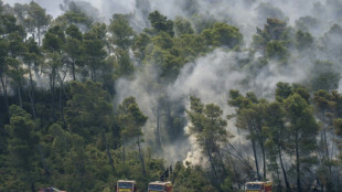 French firefighters optimistic after controlling vast wildfire