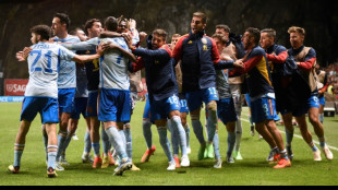 Ligue des nations: l&rsquo;Espagne rejoint la finale &agrave; quatre apr&egrave;s sa victoire au Portugal (1-0)

