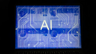 Outro caminho é possível para a IA, afirma jornalista Karen Hao