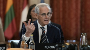 UK, northern European nations support Ukraine 30-day ceasefire: Norway PM