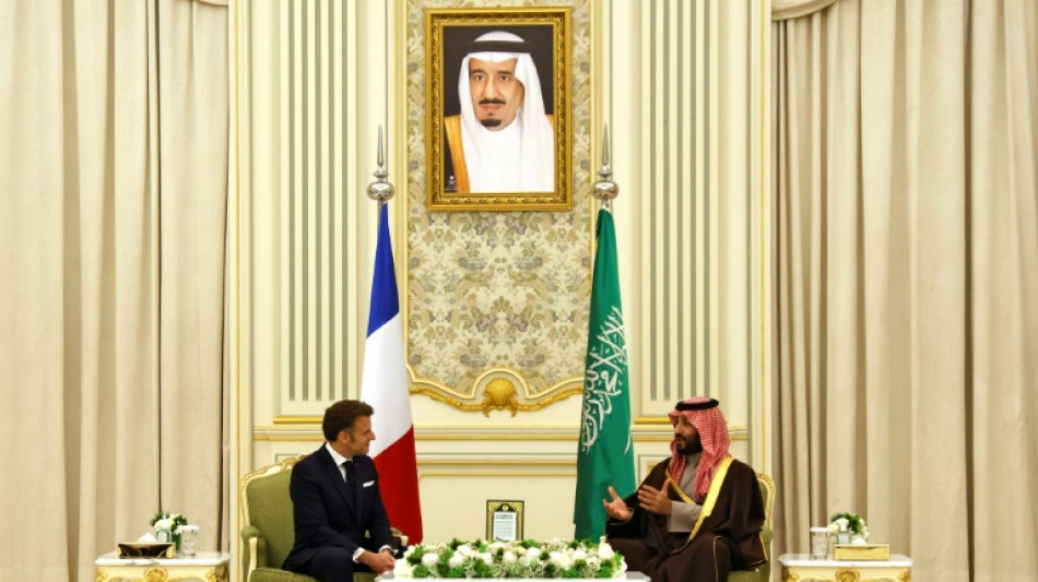 Macron et le prince h&eacute;ritier saoudien concluent un partenariat strat&eacute;gique