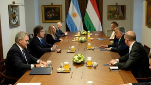 Milei da Orban, 'l'immigrazione che non si adatta &egrave; un'invasione'