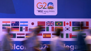 Divided G20 in India to confront a sea of troubles