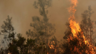 Inc&ecirc;ndios assolam Bordeaux e seguem fora de controle na Espanha
