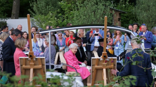 Chelsea Flower Show: unexpected gardeners and the queen in a buggy