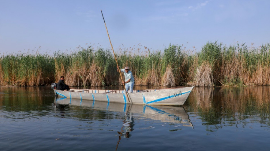 En Irak, la prospection pétrolière menace les mythiques marais mésopotamiens
