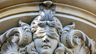 Prozess um Cannabisplantagen: Bis zu achteinhalb Jahre Haft in Oldenburg