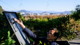 Un profesor surcoreano anima a construir b&uacute;nkeres privados ante la amenaza de ataque nuclear