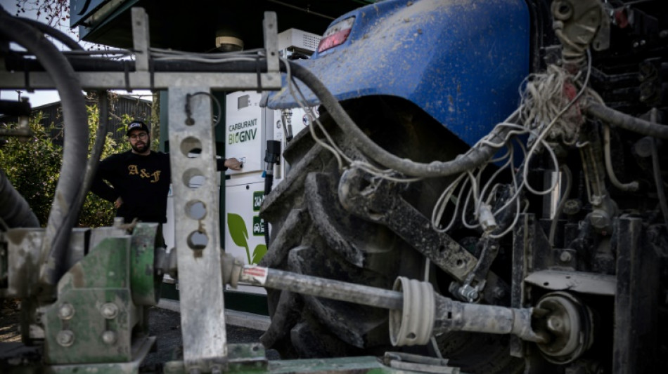 Cuando los tractores funcionan gracias al esti&eacute;rcol de vaca