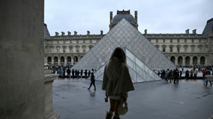 Weiter keine Spur von Louvre-Dieben - Festnahme in anderem Museums-Raubfall