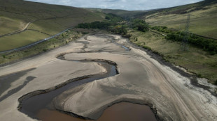 Le nord de l’Europe frappé par une sécheresse exceptionnelle