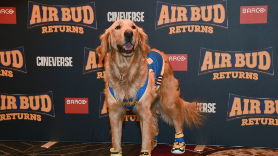 L'IA ne remplacera pas les animaux au cin&eacute;ma, nom d'un chien!