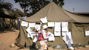 Zimbabwe arrests election monitors as opposition lashes "flawed" poll 
