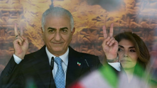 Pahlavi pocht auf Sturz der iranischen F&uuml;hrung und macht Druck auf Europ&auml;er