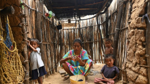 El hambre se estabiliza en el mundo, pero su eliminaci&oacute;n sigue "fuera de alcance", advierte la ONU