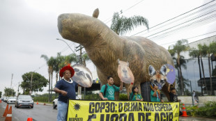 Antes de la COP30, Brasil y otros países acuerdan cuadruplicar los combustibles sostenibles