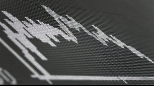 Umfrage: Verunsicherung wegen politischer und wirtschaftlicher Zukunft des Landes