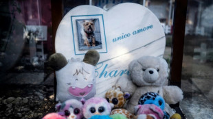 La poule de Mussolini, star du cimeti&egrave;re pour animaux de Rome