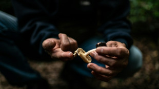 Weltnaturschutzunion: Hunderte für Ökosystem wichtige Pilzarten vom Aussterben bedroht