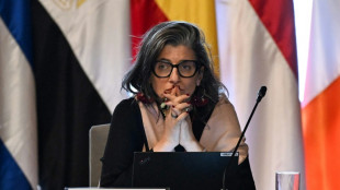 Relatora de ONU para territorios palestinos dice que sanci&oacute;n de EEUU es una "violaci&oacute;n" a su inmunidad