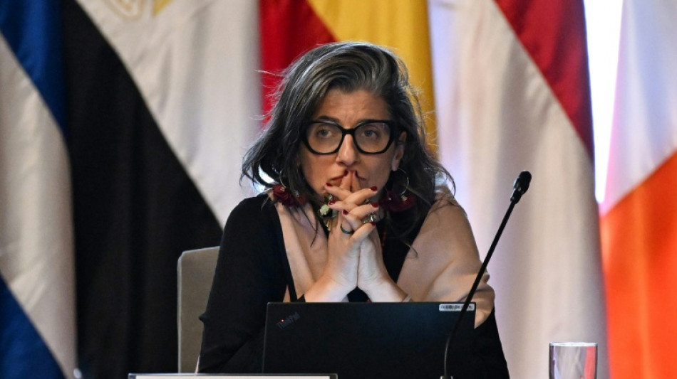 UN expert on Palestinians says US sanctions are a 'violation' of immunity