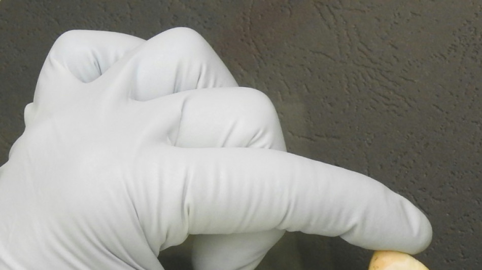 ADN humano recuperado de un colgante de unos 20.000 a&ntilde;os
