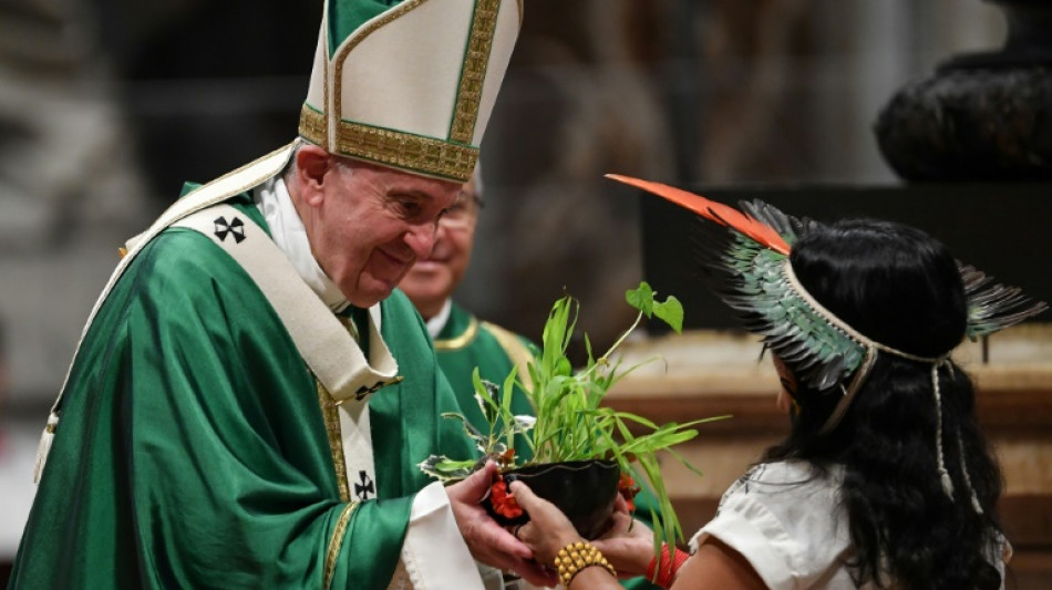 La defensa de la Amazonía, la gran batalla del papa Francisco