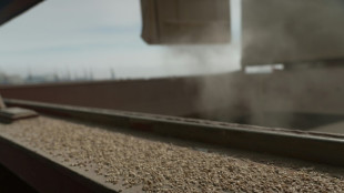 EU einigt sich mit fünf Mitgliedstaaten im Streit über Agrarimporte aus Ukraine