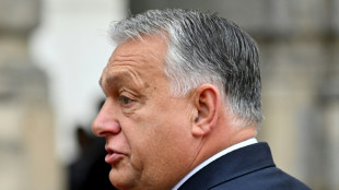 Ungarn startet B&uuml;rgerbefragung zu Russland-Sanktionen der EU