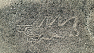 Governo do Peru defende redu&ccedil;&atilde;o de reserva arqueol&oacute;gica das Linhas de Nazca