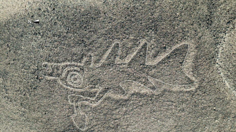 Lignes de Nazca: plus de 300 nouveaux g&eacute;oglyphes d&eacute;couvertes gr&acirc;ce &agrave; l'IA