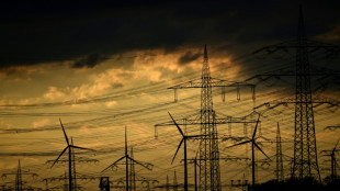 Institut spricht sich f&uuml;r ver&auml;nderte Kennzeichnung von &Ouml;kostrom aus