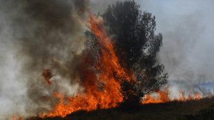 Canicule et incendies: le Sud de la France &agrave; rude &eacute;preuve avant un week-end &agrave; haut risque