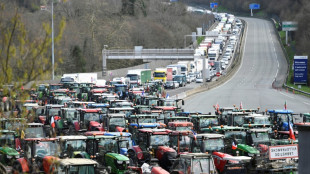 Agricultores franceses y espa&ntilde;oles bloquean la frontera para "tener peso" en las elecciones europeas
