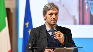 Zoppas (ICE): Italia &egrave; un Paese assolutamente attrattivo