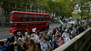 Trotz Kritik von Starmer: Tausende bei pro-pal&auml;stinensischen Protesten in Gro&szlig;britannien