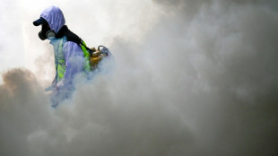 Guatemala declares dengue health emergency