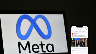 Rise in 'harmful content' since Meta policy rollbacks: survey