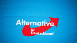 AfD-Chefin Weidel strebt Regierungsbeteiligung in L&auml;ndern an