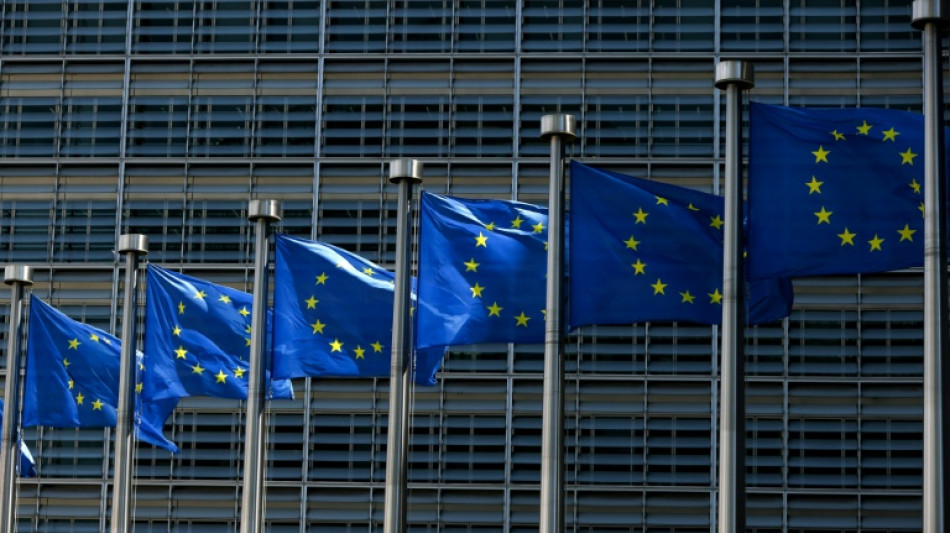 Une Am&eacute;ricaine &agrave; un poste cl&eacute; de l'UE, Paris demande &agrave; Bruxelles de revoir son choix