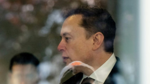 Musk's empire as SpaceX counts down to Wall Street liftoff