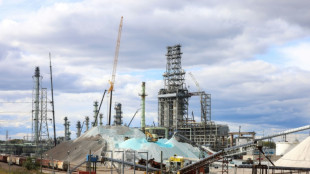 La OPEP revisa a la baja el crecimiento de la demanda de petr&oacute;leo en 2024 y 2025