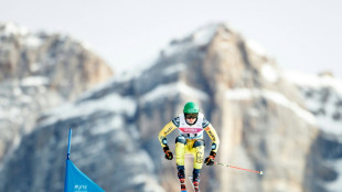 N&auml;chster Podestplatz: Skicrosser Wilmsmann wird Zweiter