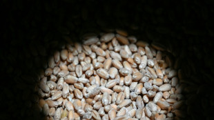 Bundesregierung will Geld f&uuml;r Getreide-Transporte aus Ukraine zusagen