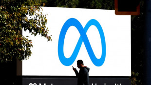 Facebook devant la justice britannique pour d&eacute;fendre le rachat de Giphy